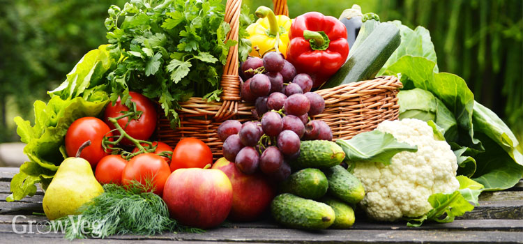 Rich & Creamy Indulgence